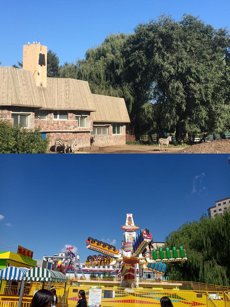 长春一家三口出行规定 - 长春适合全家一起去的地方 第2张 长春一家三口出行规定 - 长春适合全家一起去的地方 第2张
