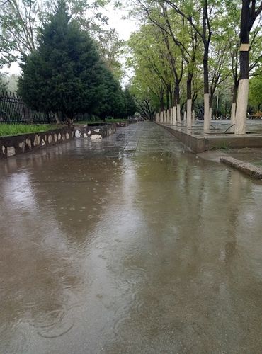 长期在雨天出行的危害,雨天出行是否不好 第8张 长期在雨天出行的危害,雨天出行是否不好 第8张
