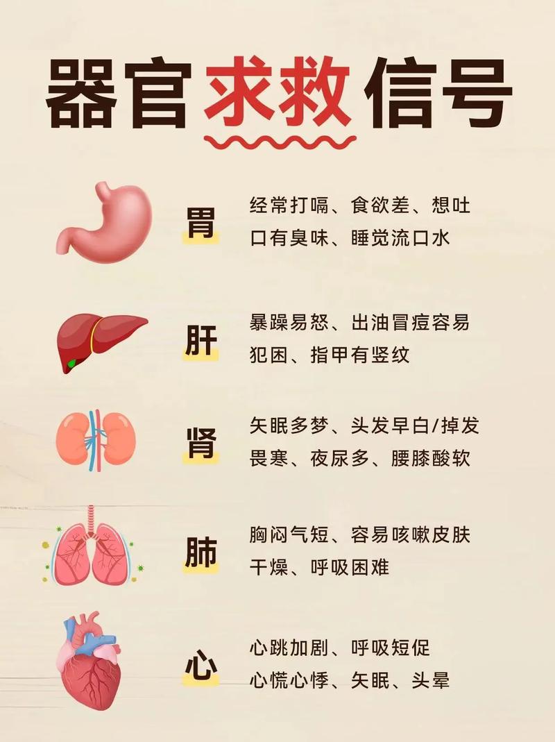 每天一则养生小常识(每天一则养生小常识100条) 第3张 每天一则养生小常识(每天一则养生小常识100条) 第3张