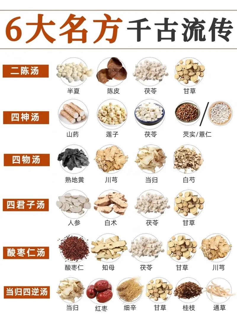 中医常识大全,中医常见知识 第5张 中医常识大全,中医常见知识 第5张