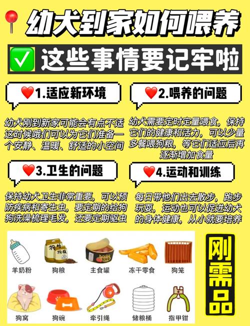 狗狗喂养常识 - 狗狗喂食注意事项 第3张 狗狗喂养常识 - 狗狗喂食注意事项 第3张