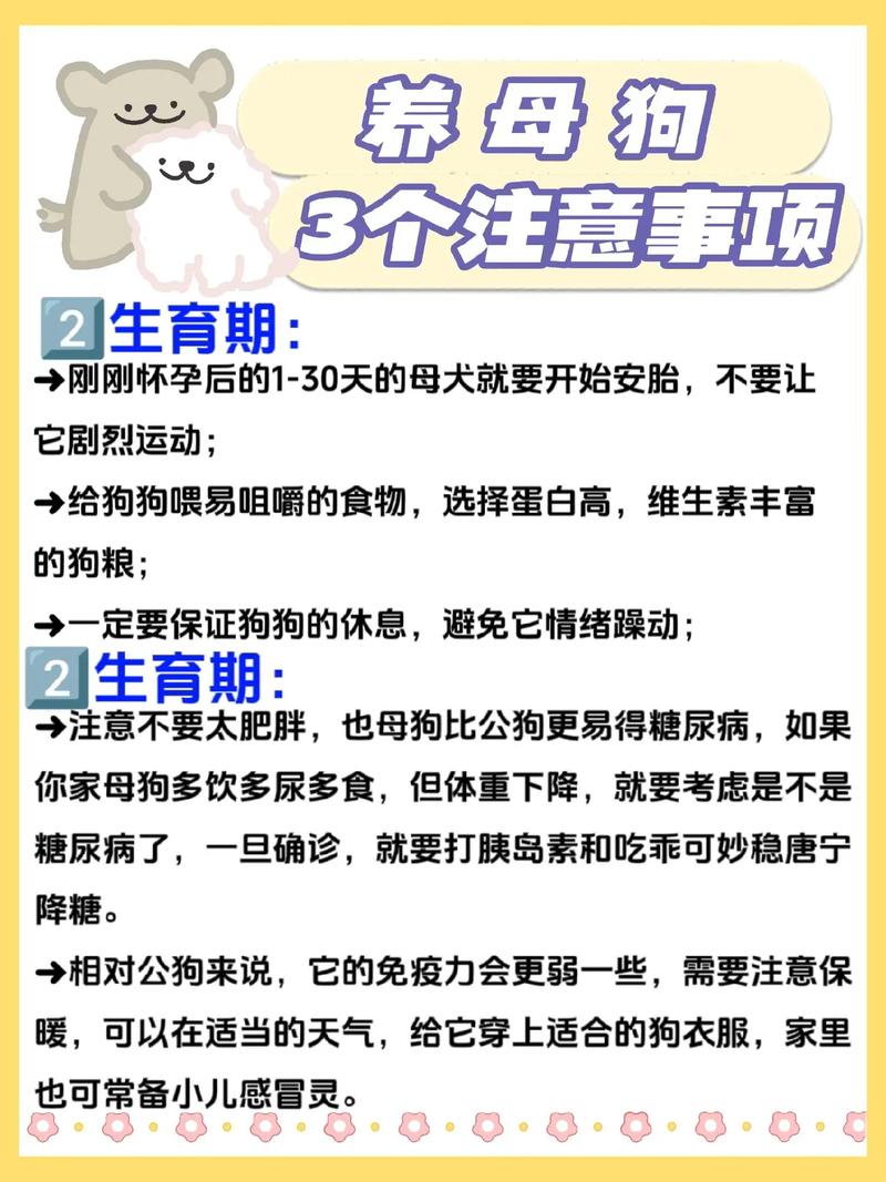 狗狗喂养常识 - 狗狗喂食注意事项 第4张 狗狗喂养常识 - 狗狗喂食注意事项 第4张