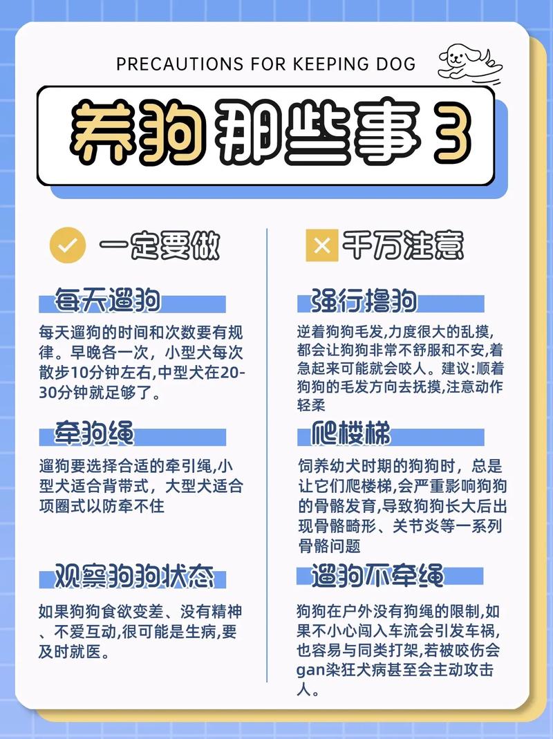 狗狗喂养常识 - 狗狗喂食注意事项 第5张 狗狗喂养常识 - 狗狗喂食注意事项 第5张