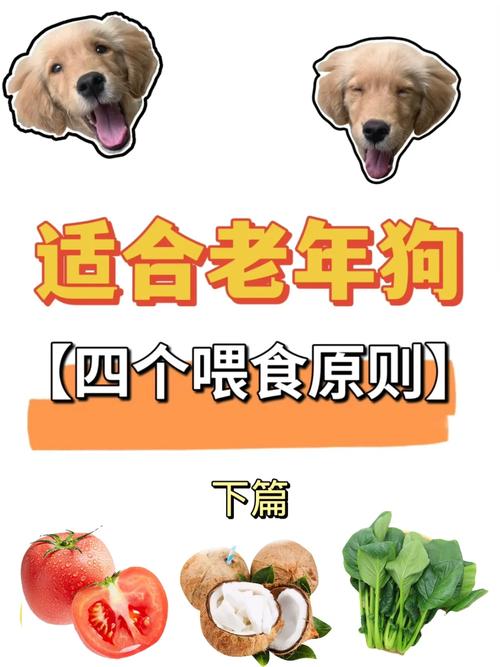狗狗喂养常识 - 狗狗喂食注意事项 第6张 狗狗喂养常识 - 狗狗喂食注意事项 第6张
