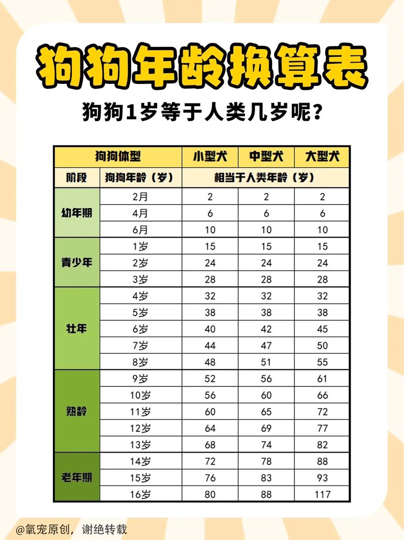 狗狗喂养常识 - 狗狗喂食注意事项 第8张 狗狗喂养常识 - 狗狗喂食注意事项 第8张