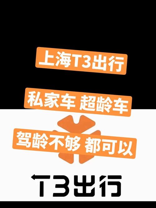 怎么申请东风出行,东风出行app 第2张 怎么申请东风出行,东风出行app 第2张