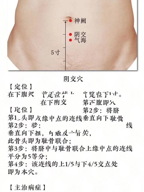 妇科病取穴按摩常识 - 妇科疾病按摩哪里 第2张 妇科病取穴按摩常识 - 妇科疾病按摩哪里 第2张