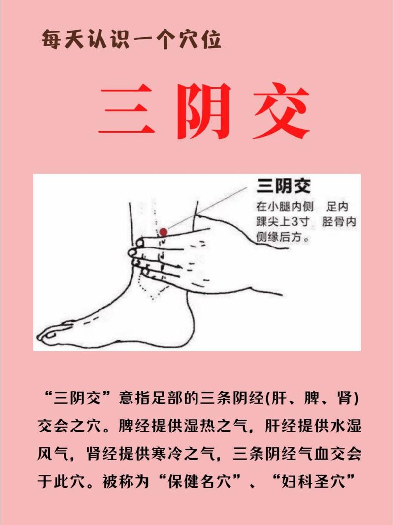 妇科病取穴按摩常识 - 妇科疾病按摩哪里 第5张 妇科病取穴按摩常识 - 妇科疾病按摩哪里 第5张