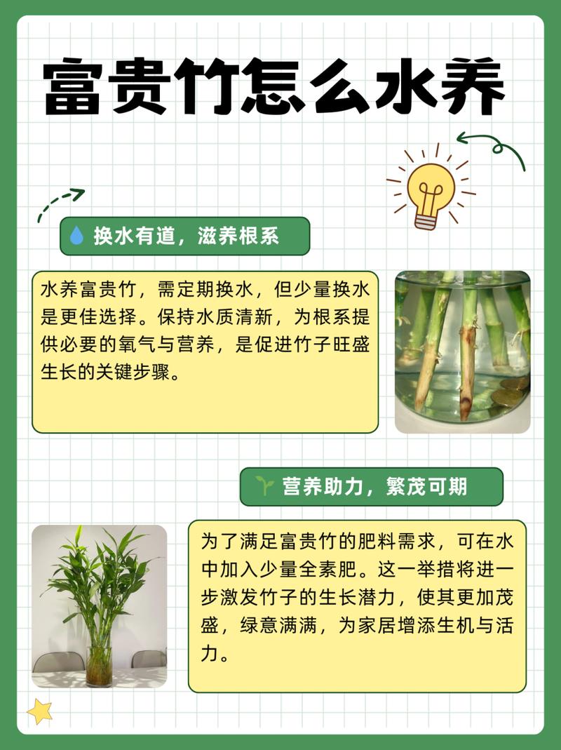 绿植养护常识(绿植养护常识大全) 第2张 绿植养护常识(绿植养护常识大全) 第2张