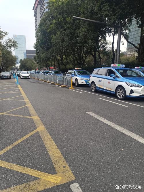 浙江镇海出行要求(去镇海电话) 第1张 浙江镇海出行要求(去镇海电话) 第1张