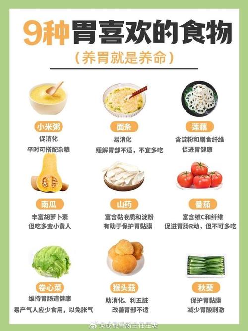 养胃的小常识,养胃护胃常识 第3张 养胃的小常识,养胃护胃常识 第3张