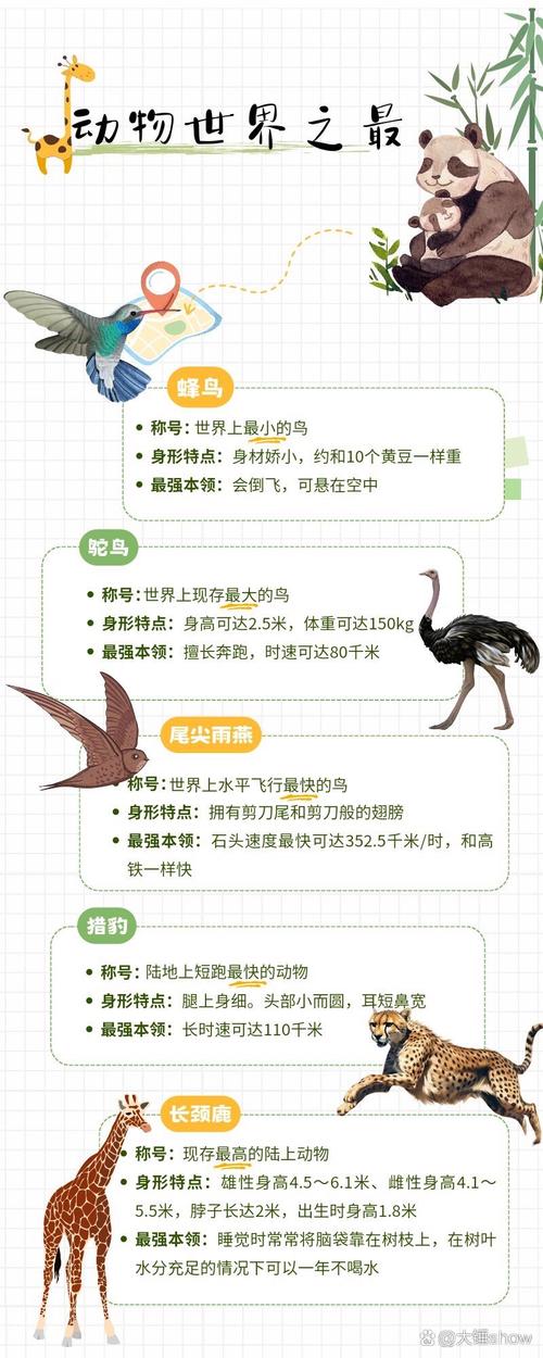 关于动物的科学常识,关于动物科普的知识 第3张 关于动物的科学常识,关于动物科普的知识 第3张