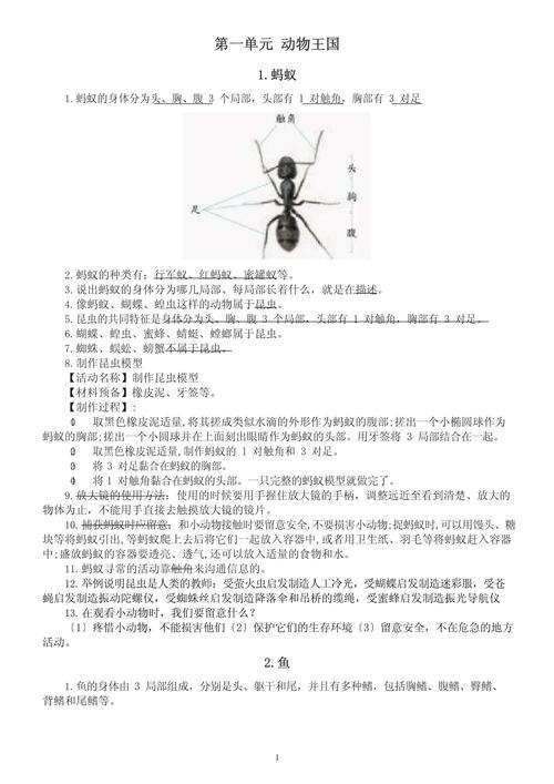 关于动物的科学常识,关于动物科普的知识 第7张 关于动物的科学常识,关于动物科普的知识 第7张