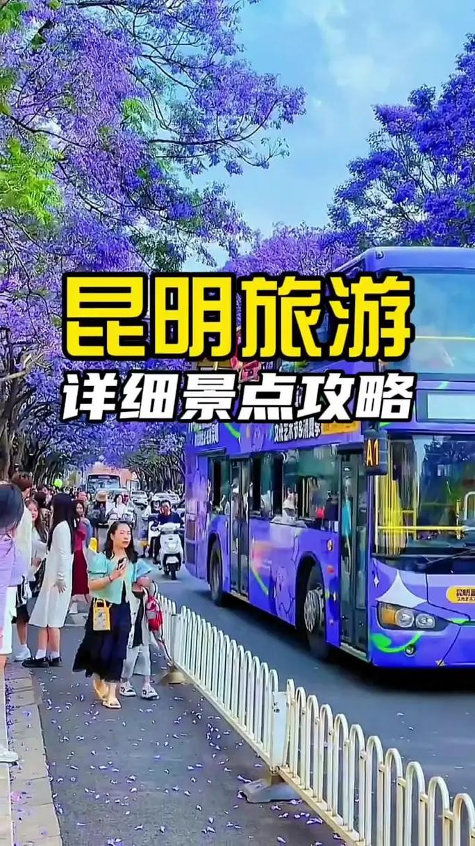 怎样成为滇约出行车车主 - 怎么成为滇约出行司机 第4张 怎样成为滇约出行车车主 - 怎么成为滇约出行司机 第4张