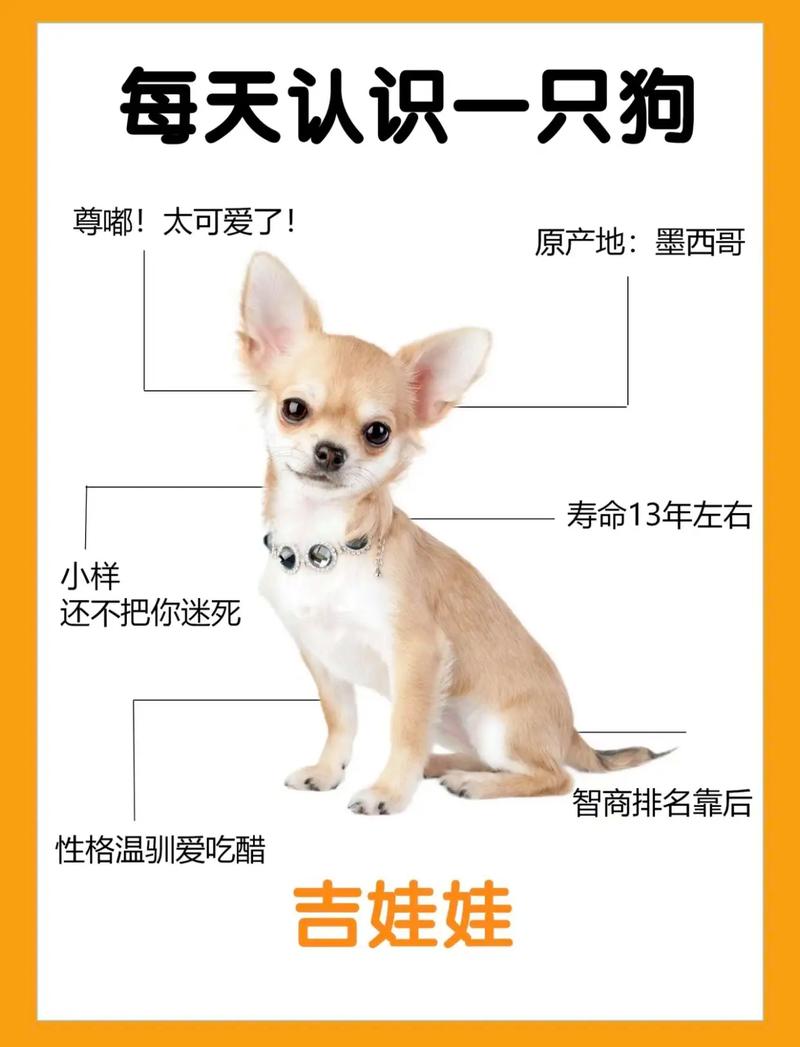 怎么给娃娃申领健康出行码(怎样给娃娃申请健康码) 第5张 怎么给娃娃申领健康出行码(怎样给娃娃申请健康码) 第5张