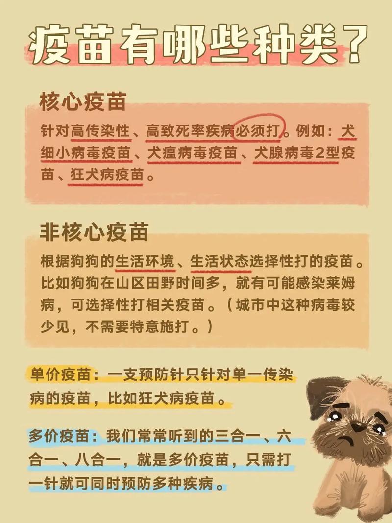 狗狗疫苗常识(狗狗疫苗知识) 第1张 狗狗疫苗常识(狗狗疫苗知识) 第1张