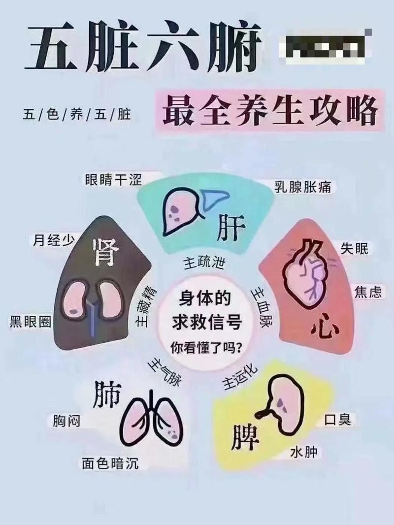 养生小常识图片 - 养生小知识图片 第2张 养生小常识图片 - 养生小知识图片 第2张