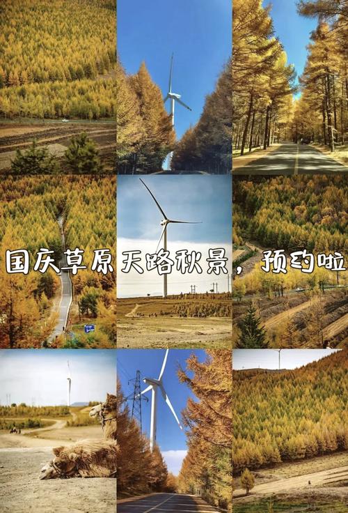 张家口国庆出行免费吗(张家口国庆出行免费吗现在) 第1张 张家口国庆出行免费吗(张家口国庆出行免费吗现在) 第1张