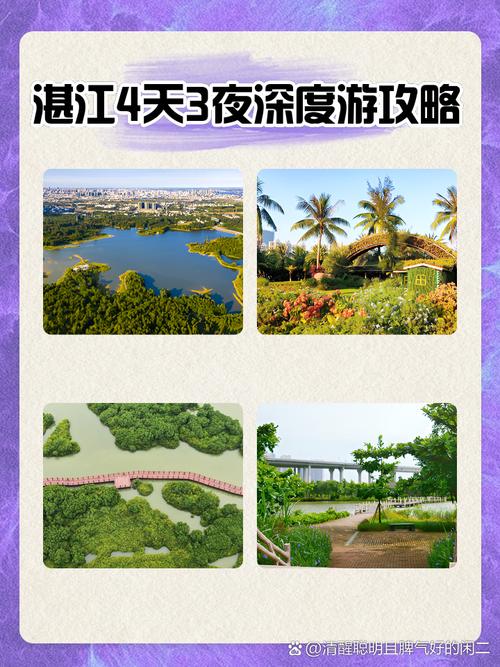 湛江赤坎出行方式(湛江赤坎汽车站时刻表) 第5张 湛江赤坎出行方式(湛江赤坎汽车站时刻表) 第5张