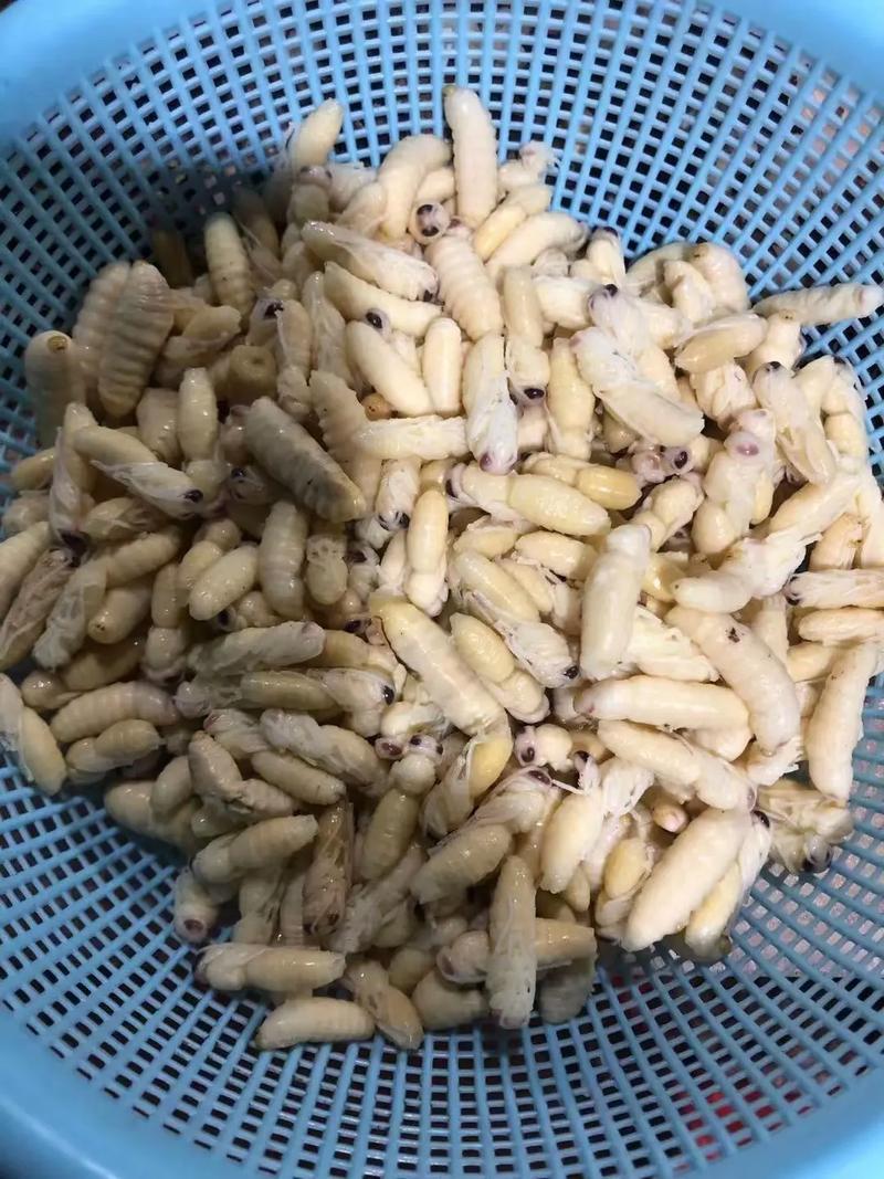 怎么找到蜜蜂出行,蜜蜂出行怎么找车 第5张 怎么找到蜜蜂出行,蜜蜂出行怎么找车 第5张