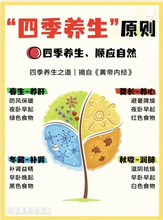 幼儿春季养生小常识(夏季幼儿养生健康小知识) 第5张 幼儿春季养生小常识(夏季幼儿养生健康小知识) 第5张