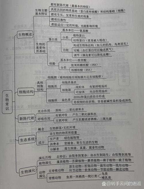 器官移植的基本常识,器官移植的五大原则 第4张 器官移植的基本常识,器官移植的五大原则 第4张