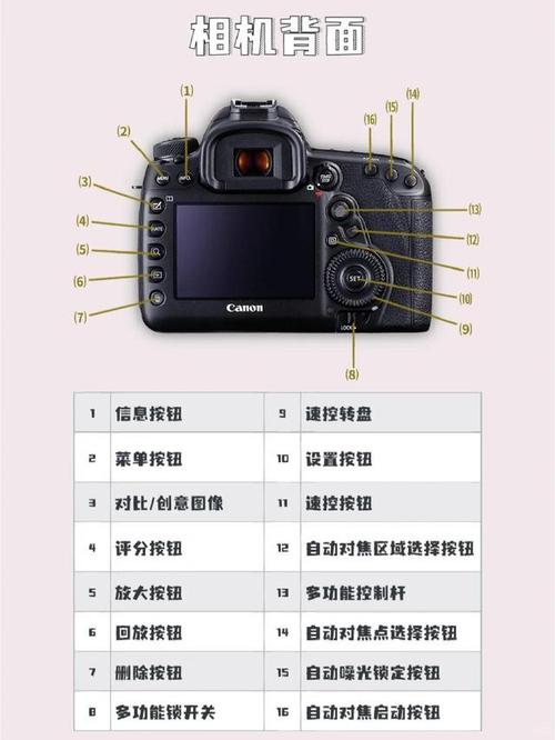 相机使用常识,相机使用基础 第7张 相机使用常识,相机使用基础 第7张