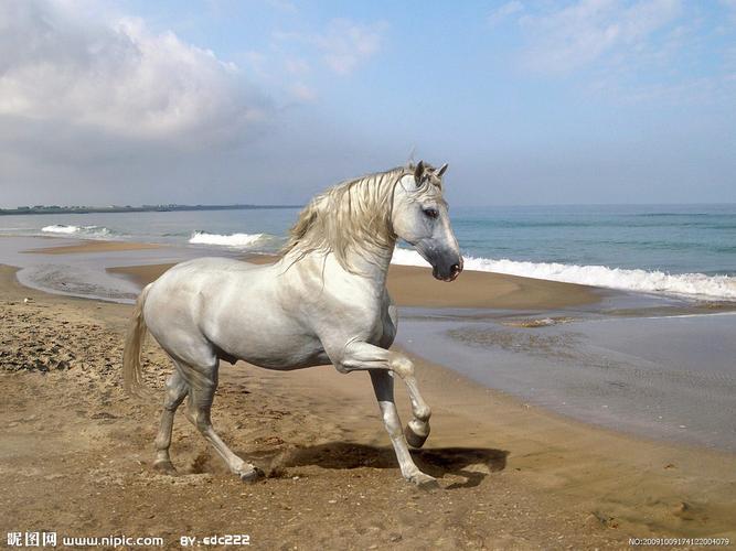 浙江适合骑什么马出行,浙江适合骑什么马出行的地方 第6张 浙江适合骑什么马出行,浙江适合骑什么马出行的地方 第6张