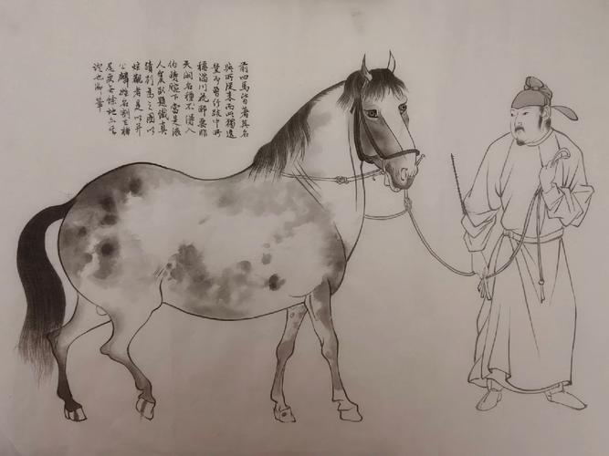 浙江适合骑什么马出行,浙江适合骑什么马出行的地方 第7张 浙江适合骑什么马出行,浙江适合骑什么马出行的地方 第7张