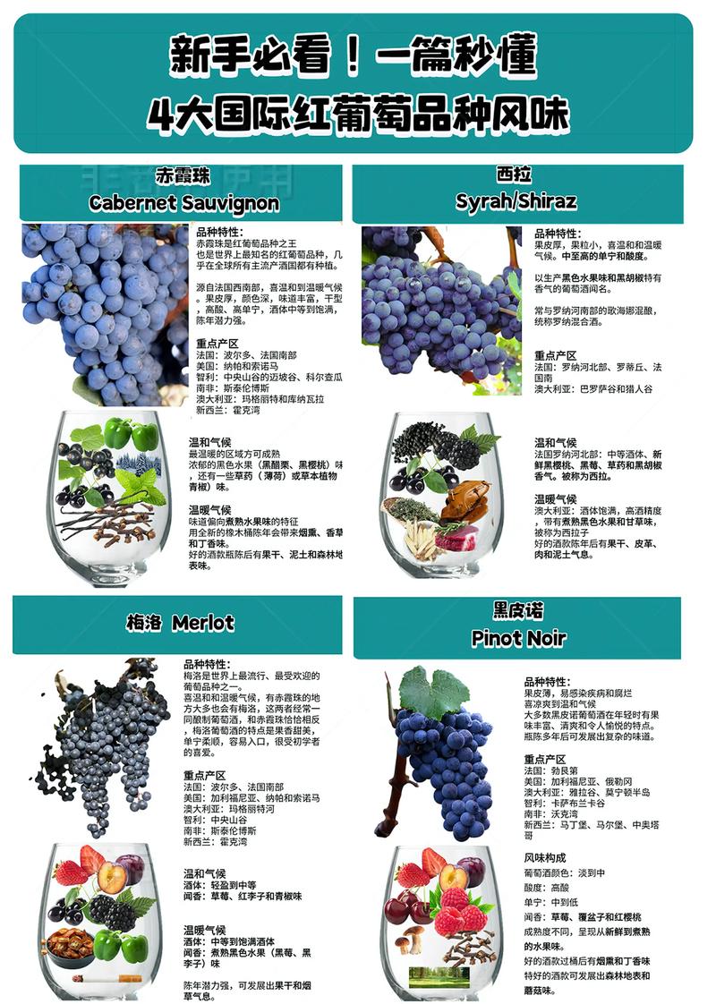 葡萄酒小常识(葡萄酒小常识有哪些) 第2张 葡萄酒小常识(葡萄酒小常识有哪些) 第2张