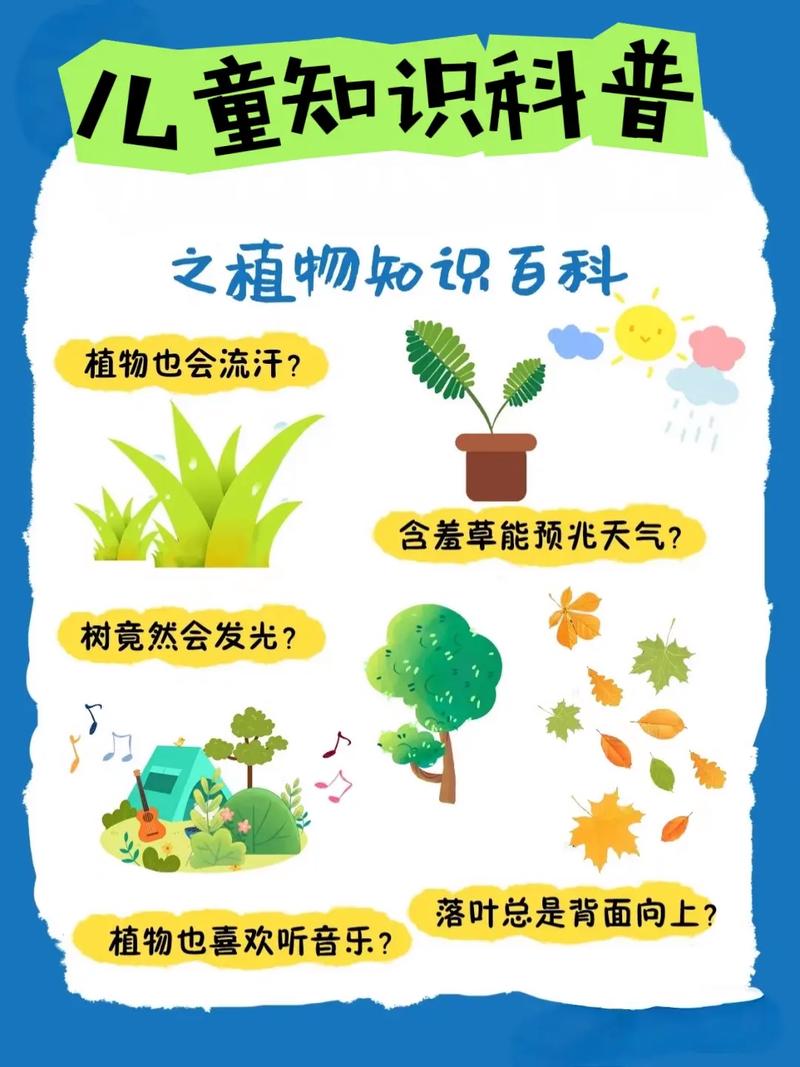 常识知识普及(常识知识汇总) 第6张 常识知识普及(常识知识汇总) 第6张