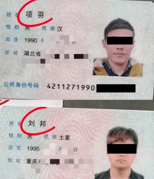 怎么看自己以前的出行记录 - 如何查询过往出行记录 第5张 怎么看自己以前的出行记录 - 如何查询过往出行记录 第5张