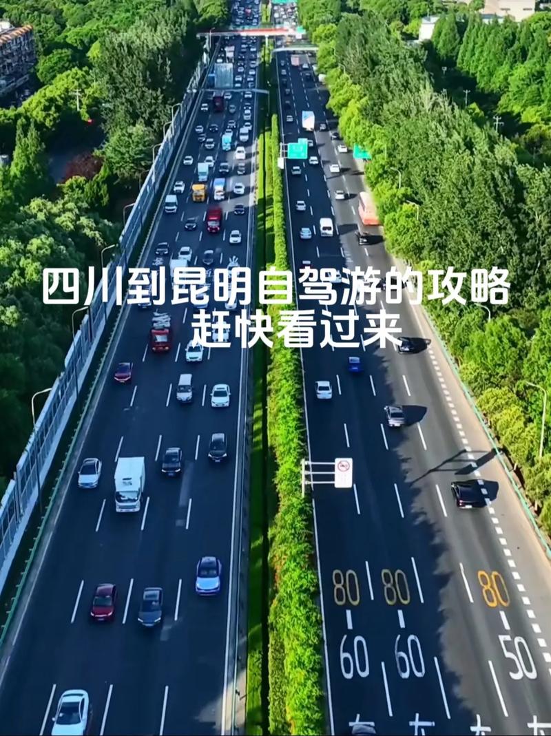 长假出行云南交通 - 云南交通出行app 第4张 长假出行云南交通 - 云南交通出行app 第4张