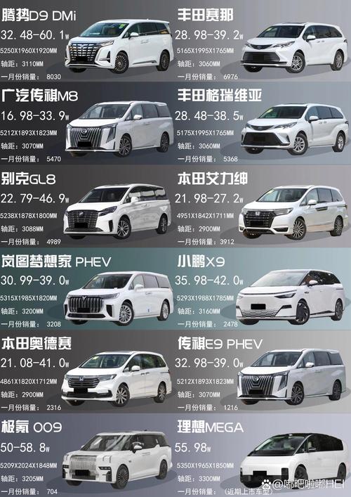 长途出行轿车mpv(mpv suv 轿车 长途驾驶) 第5张 长途出行轿车mpv(mpv suv 轿车 长途驾驶) 第5张