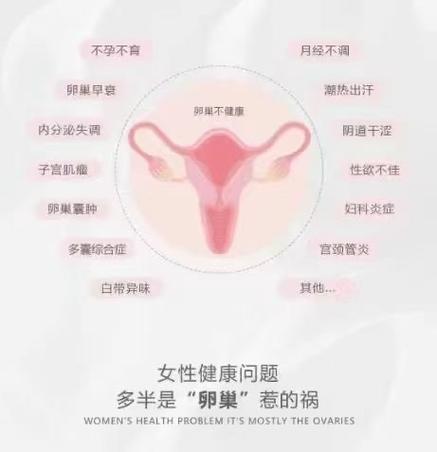 不孕不育常识,不孕不育知识 第3张 不孕不育常识,不孕不育知识 第3张