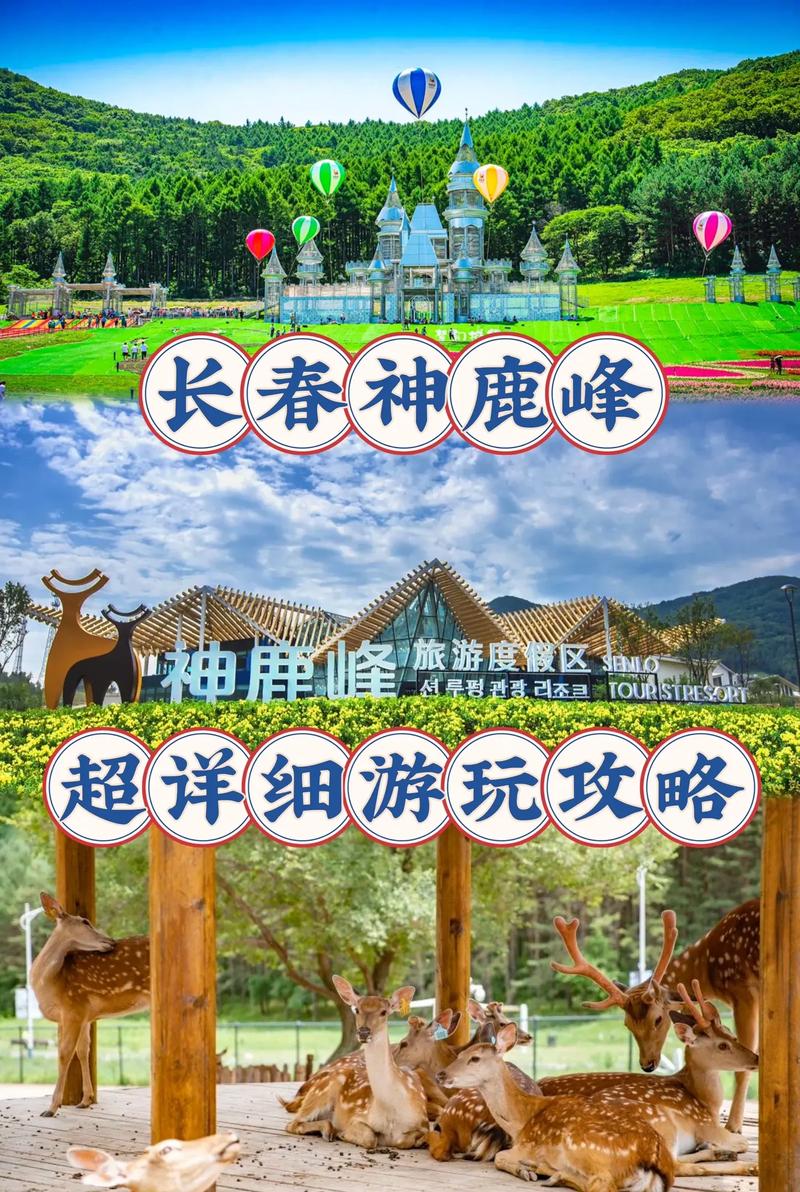长春出行安全提示(长春出入最新规定) 第4张 长春出行安全提示(长春出入最新规定) 第4张