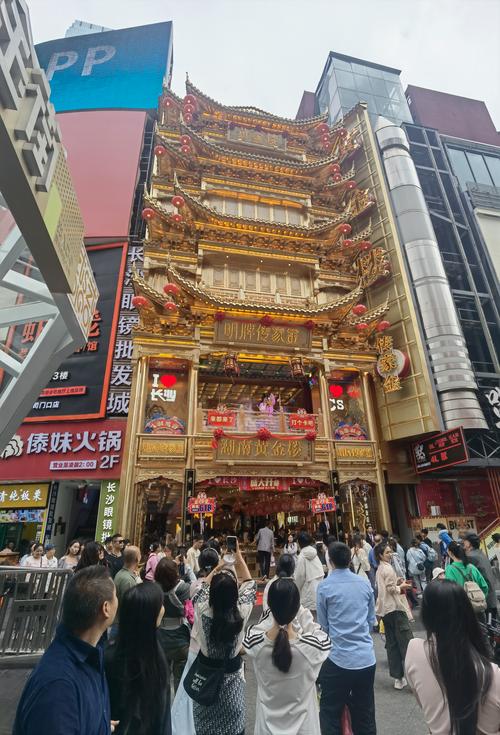 长沙步行街市民出行新闻,今天的长沙步行街 第2张 长沙步行街市民出行新闻,今天的长沙步行街 第2张