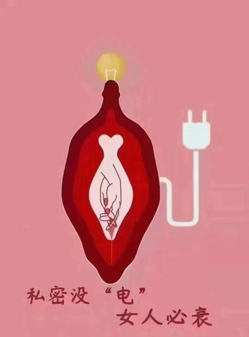 女性生值器官常识(女性生值器构造) 第4张 女性生值器官常识(女性生值器构造) 第4张