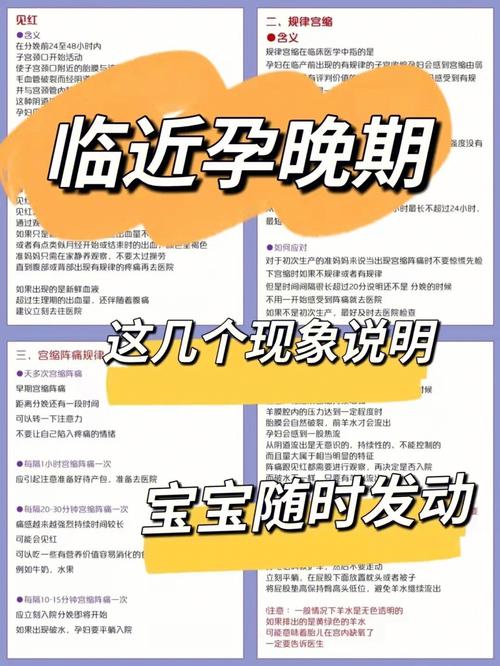 怎样才能让孕期安全出行 - 怎么才能让孕妇开心 第1张 怎样才能让孕期安全出行 - 怎么才能让孕妇开心 第1张