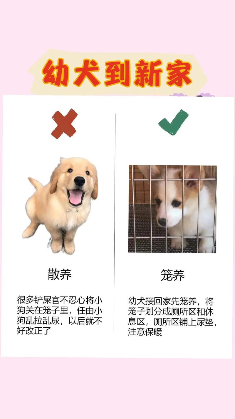 宠物饲养常识,宠物饲养常识大全 第2张 宠物饲养常识,宠物饲养常识大全 第2张