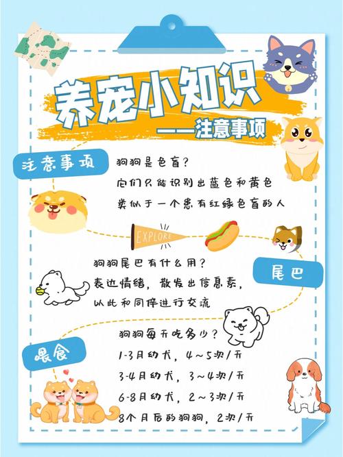 宠物饲养常识,宠物饲养常识大全 第3张 宠物饲养常识,宠物饲养常识大全 第3张