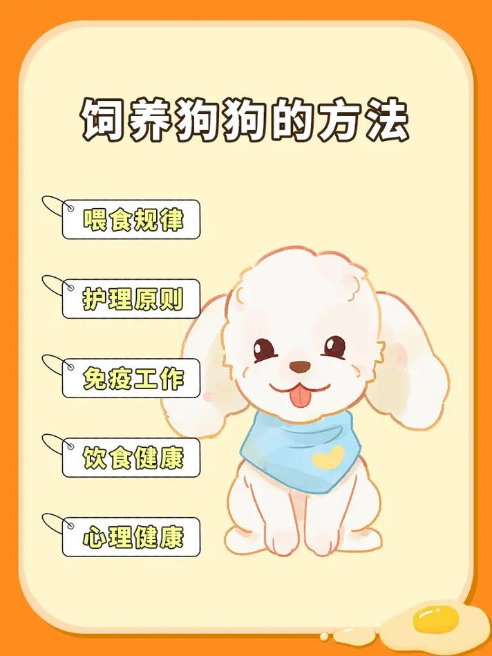 宠物饲养常识,宠物饲养常识大全 第6张 宠物饲养常识,宠物饲养常识大全 第6张