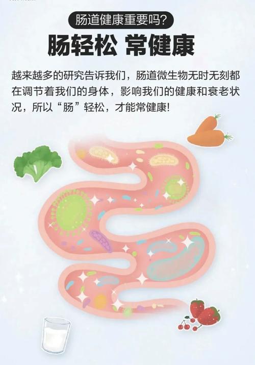 养护肠胃的小常识,养护肠胃应该吃些什么 第1张 养护肠胃的小常识,养护肠胃应该吃些什么 第1张