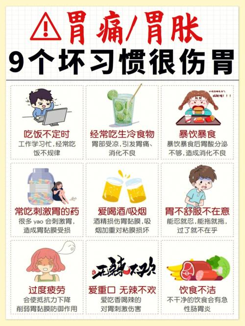 养护肠胃的小常识,养护肠胃应该吃些什么 第2张 养护肠胃的小常识,养护肠胃应该吃些什么 第2张