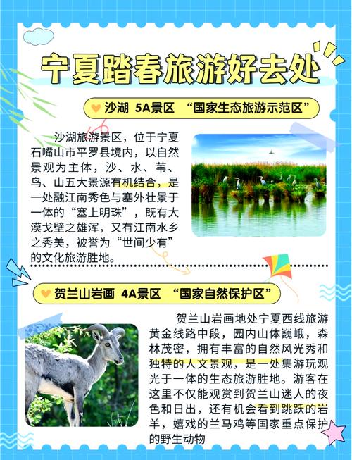 长假出行需要准备什么东西,假期出行建议 第4张 长假出行需要准备什么东西,假期出行建议 第4张