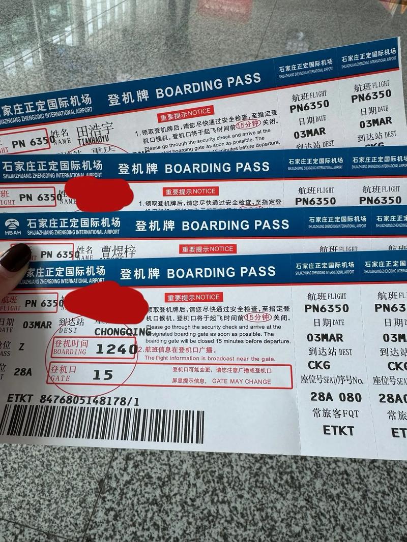 怎么看未出行机票费用(怎么看飞机出票没有) 第4张 怎么看未出行机票费用(怎么看飞机出票没有) 第4张