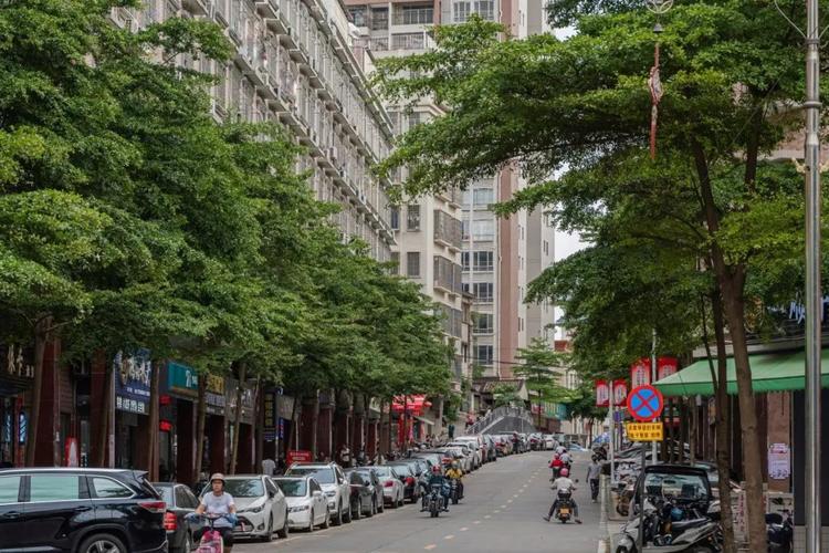 湛江农民怎么出行,湛江出行政策 第1张 湛江农民怎么出行,湛江出行政策 第1张