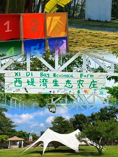 湛江农民怎么出行,湛江出行政策 第2张 湛江农民怎么出行,湛江出行政策 第2张