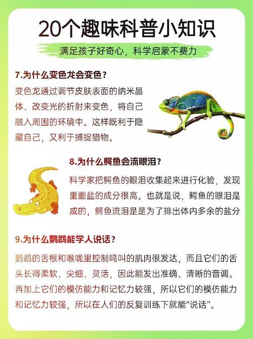 生活基本常识大全,日常生活基本常识 第4张 生活基本常识大全,日常生活基本常识 第4张