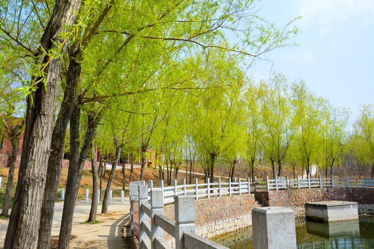 长葛市出行规定查询,长葛市现在让进吗 第3张 长葛市出行规定查询,长葛市现在让进吗 第3张